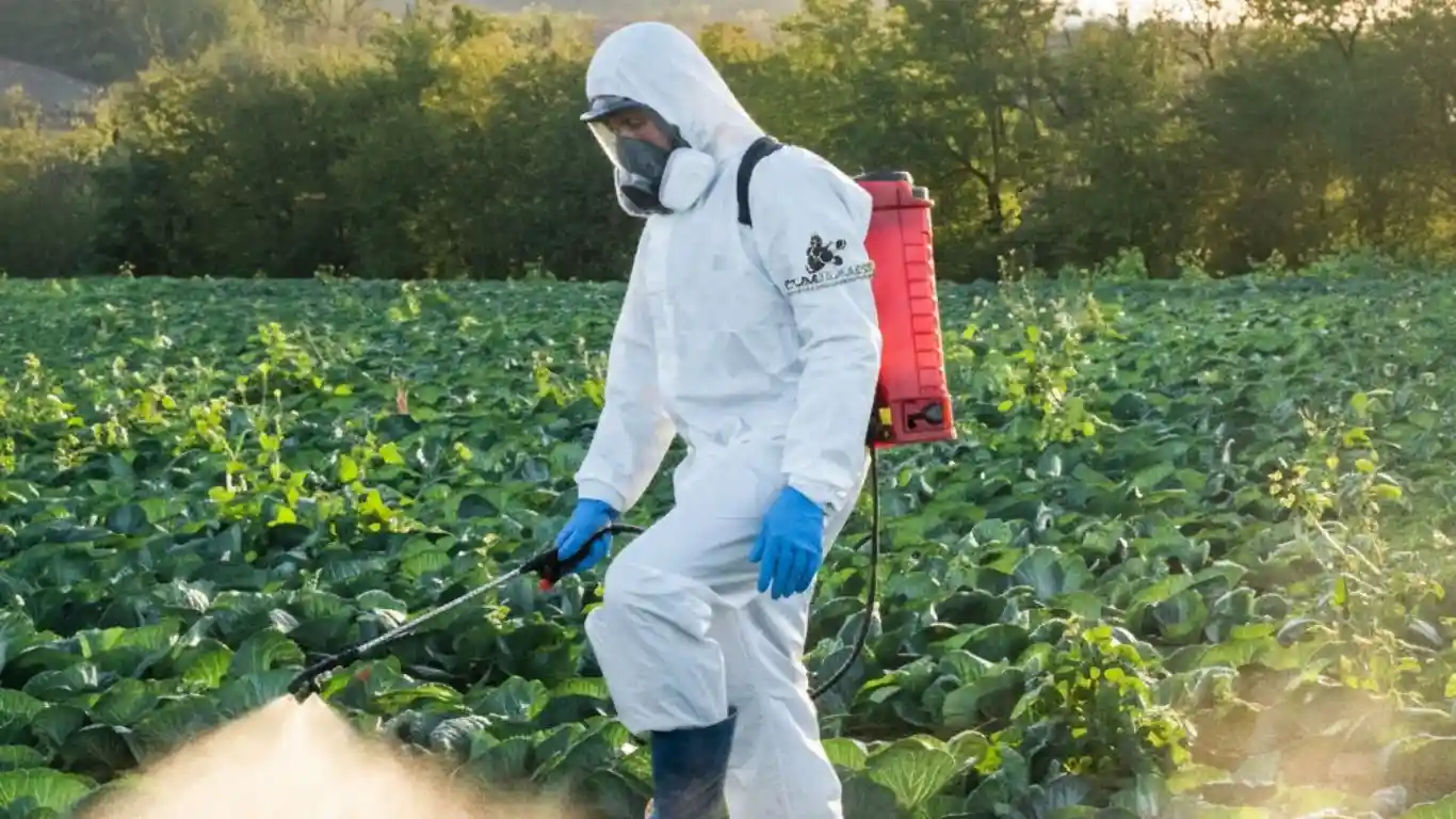 Control de plagas y sanitización agrícola en Celaya